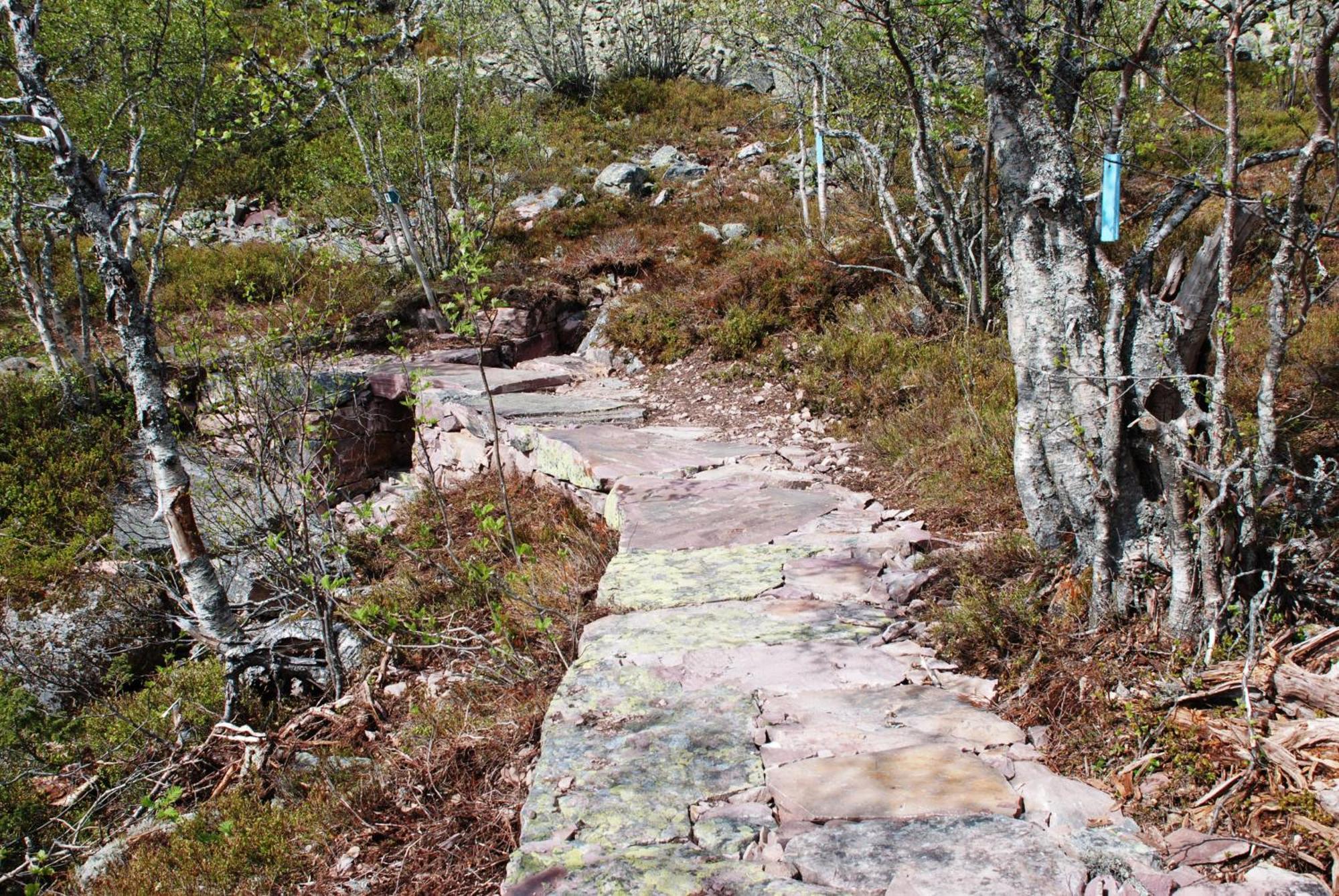 12 - Fulufjellets Nasjonalparker - Natur-, Dyre- Og Fugleopplevelser Ljordal Exterior photo