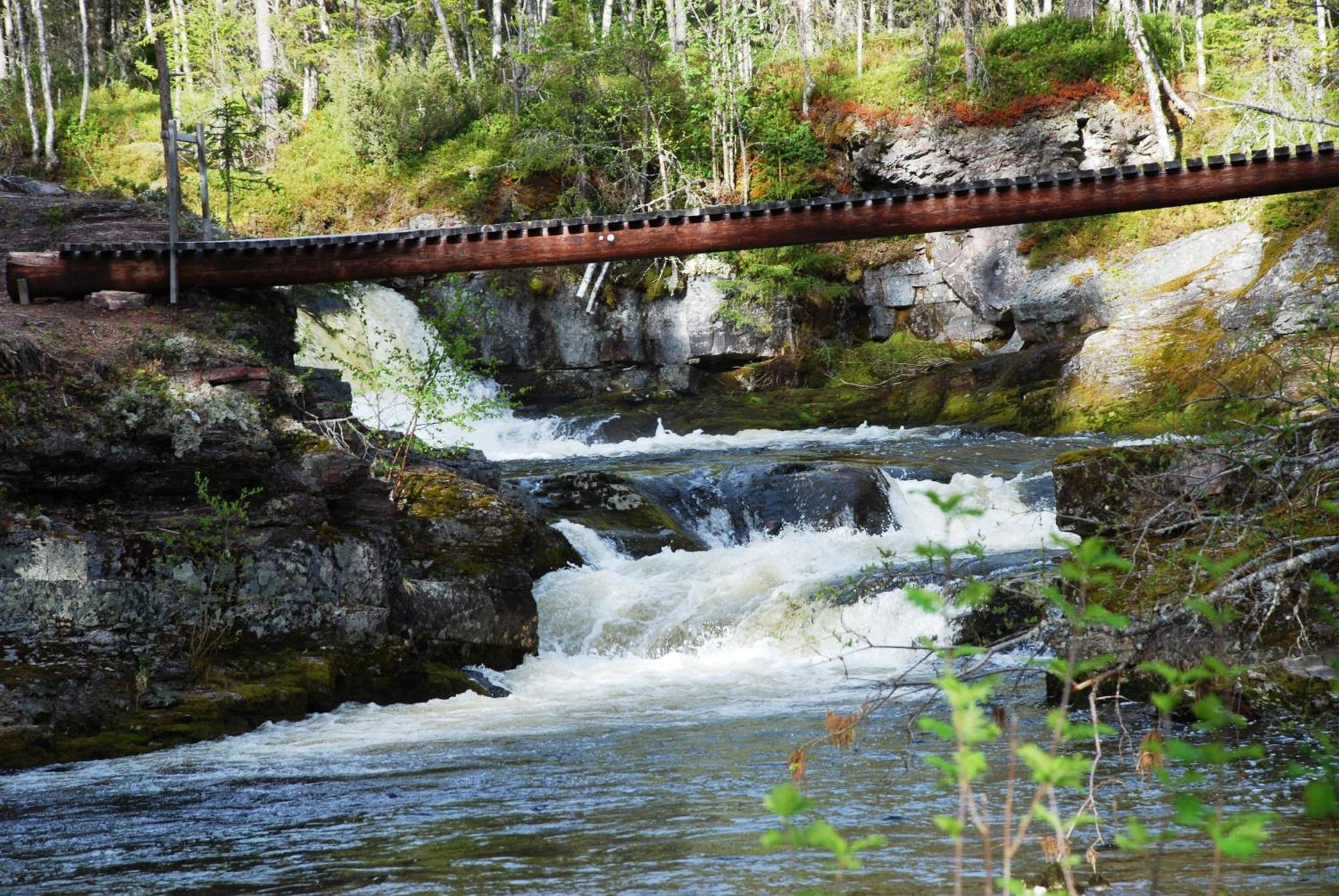 12 - Fulufjellets Nasjonalparker - Natur-, Dyre- Og Fugleopplevelser Ljordal Exterior photo
