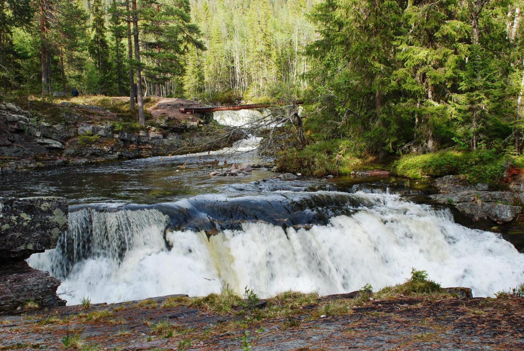 12 - Fulufjellets Nasjonalparker - Natur-, Dyre- Og Fugleopplevelser Ljordal Exterior photo