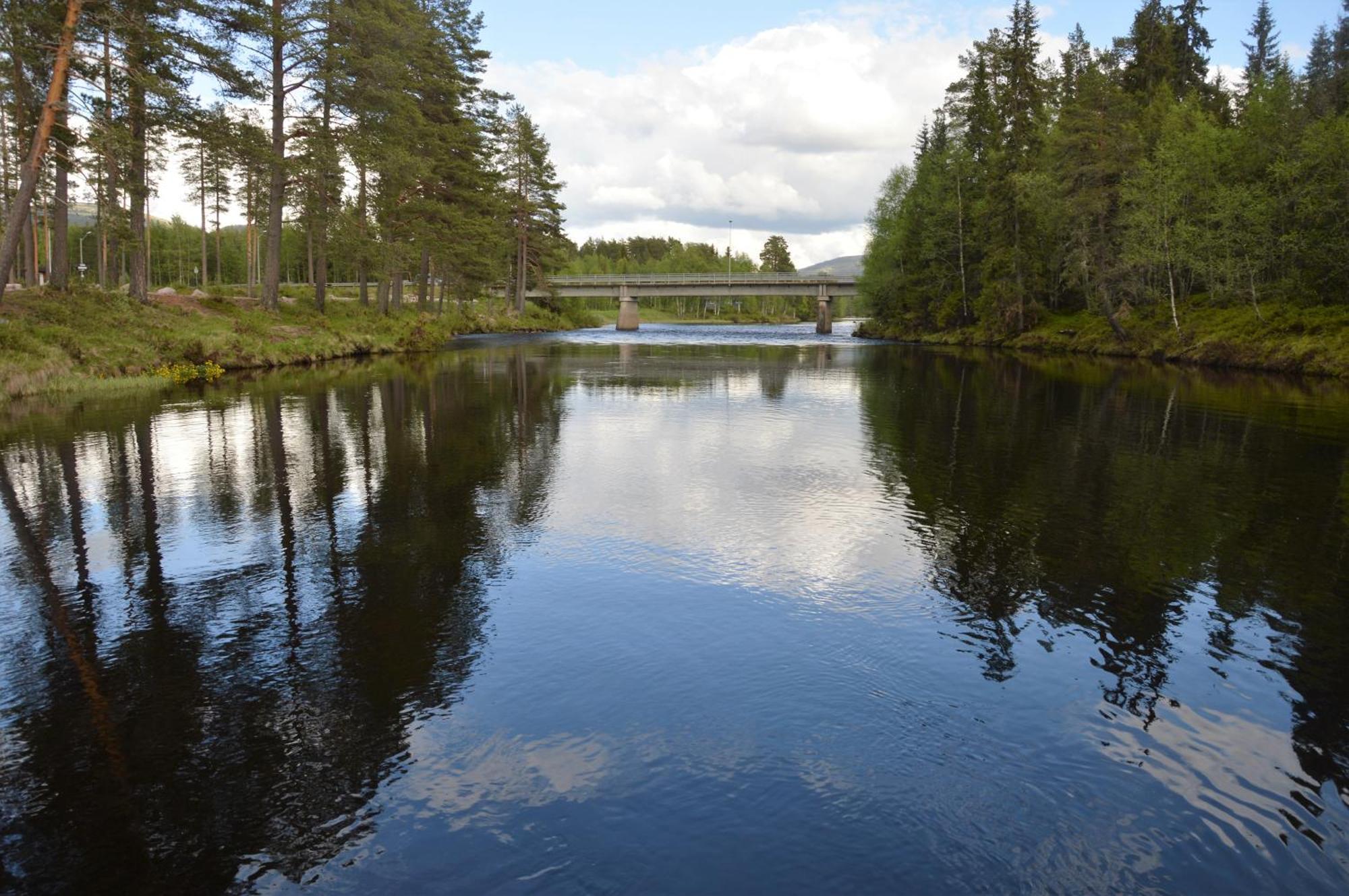 12 - Fulufjellets Nasjonalparker - Natur-, Dyre- Og Fugleopplevelser Ljordal Exterior photo